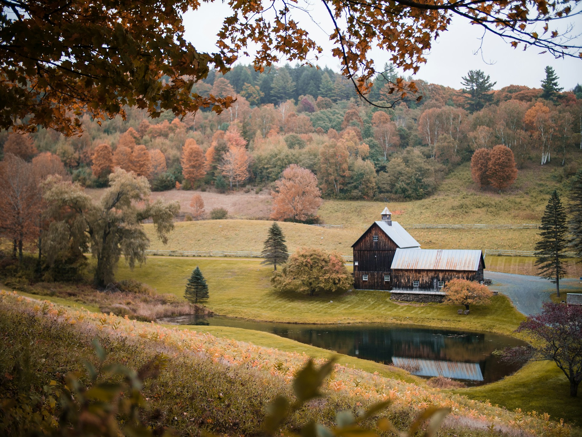 penginapan farm house